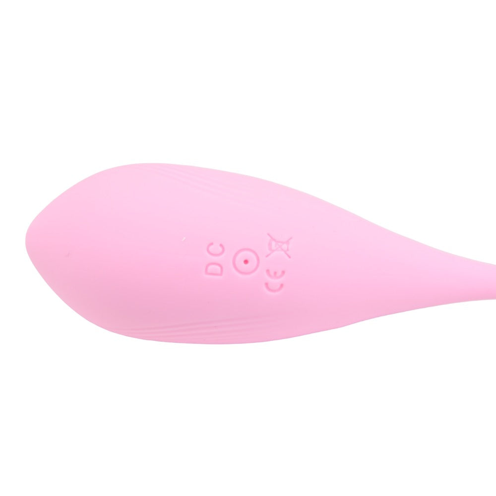 Loving Joy Remote Controlled Vibrating Egg - Allure Adornments