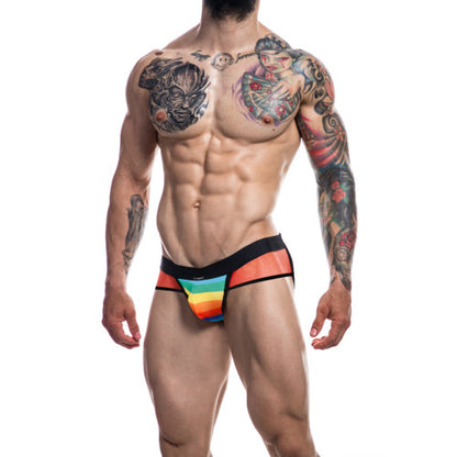 C4M Mixed Jockstrap Rainbow Small - Allure Adornments