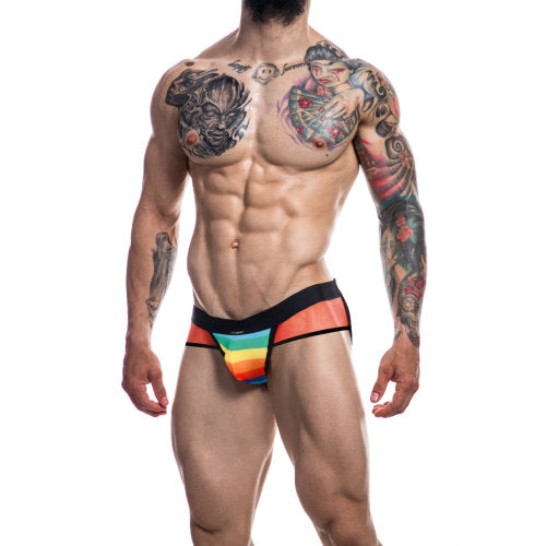 C4M Mixed Jockstrap Rainbow Medium - Allure Adornments