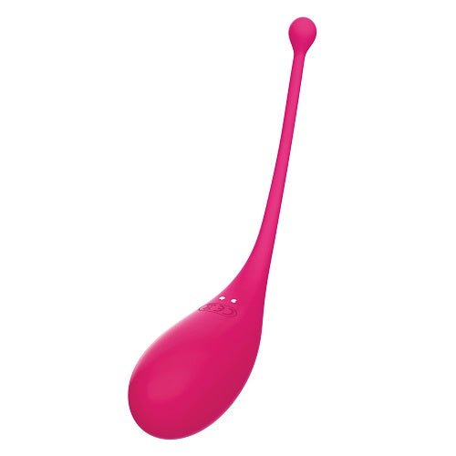 Adrien Lastic Palpitation Rechargeable App Controlled Vibrating Egg - Allure Adornments