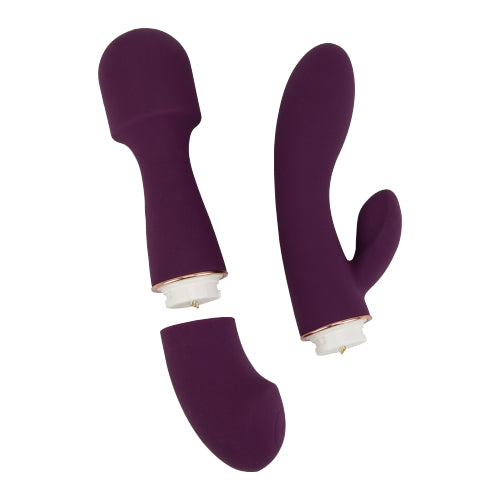 Loving Joy DUA Interchangeable Vibrator with 2 Attachments - Allure Adornments